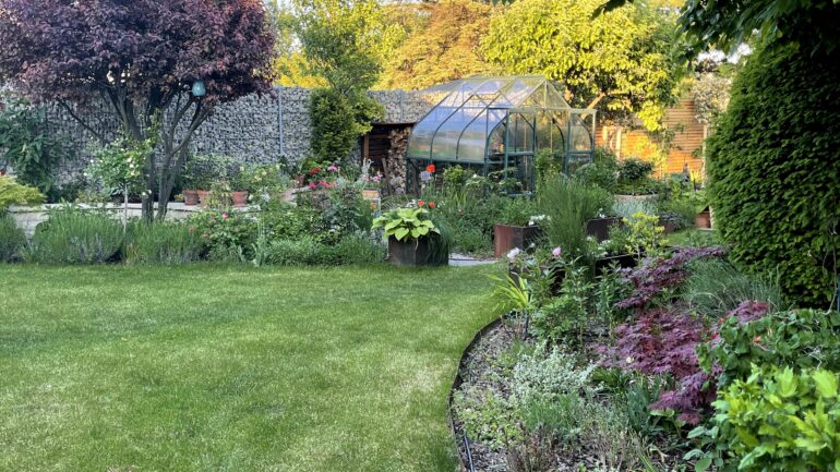 Mein Garten, Gartenerlebnisse, Gartengestaltung, Pflanzenpflege