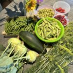 Buschbohnen, Zucchini und Co: Einfach anzubauende Gemüsesorten für Anfänger